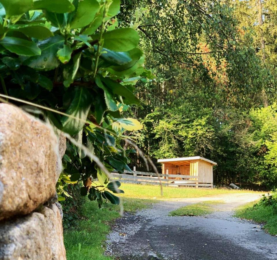 Landgasthof Blasini - Pfahlhof Zandt Exterior foto